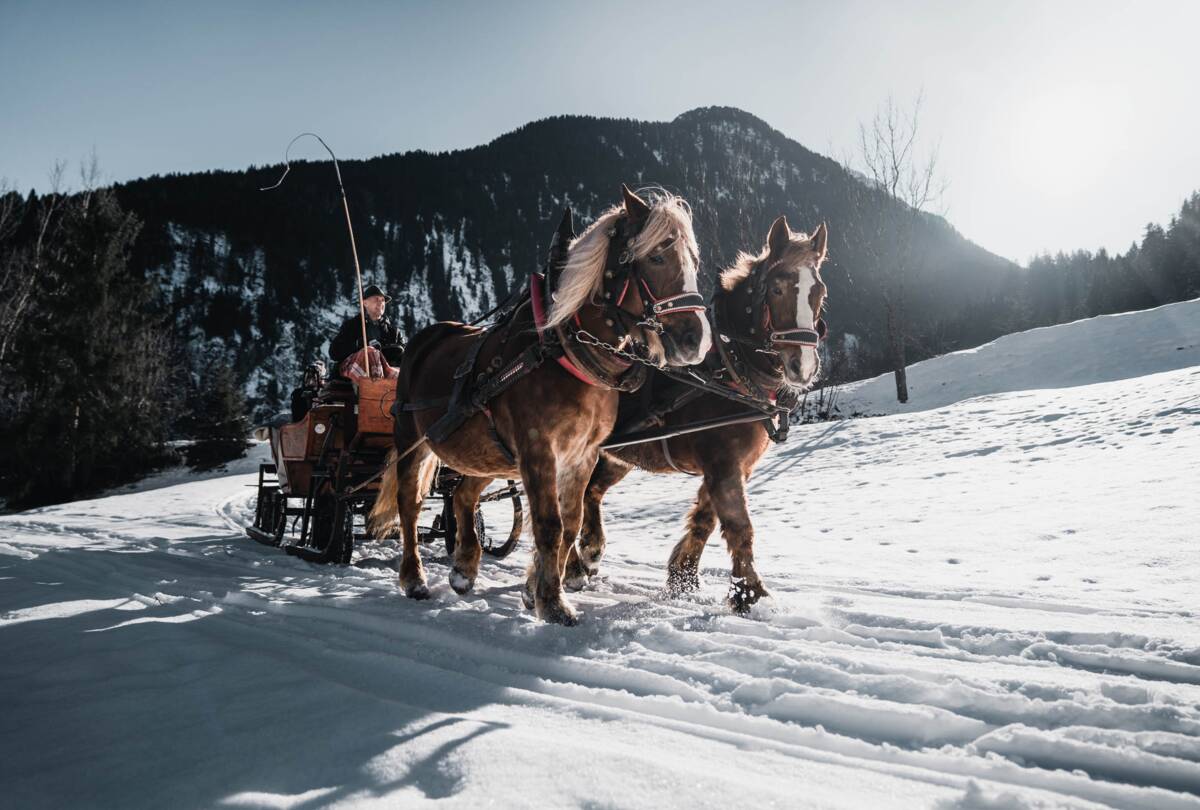 © Zillertal Tourismus